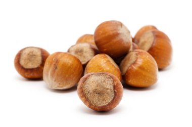 Beyaz arkaplanda fındık