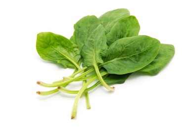 Beyaz arkaplanda ıspanak