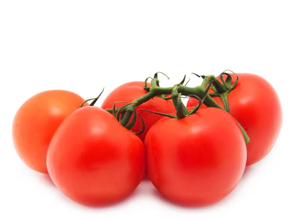 白い背景と完熟トマトの束 — ストック写真