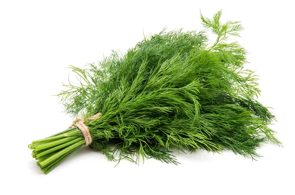 Fresh dill close up no fundo branco — Fotografia de Stock