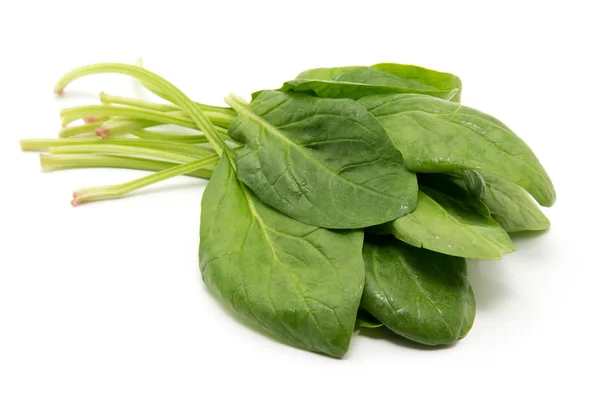 Spinach on a white background — Stock Photo, Image