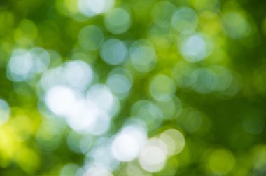 Doğal bulanık arkaplan dokusu