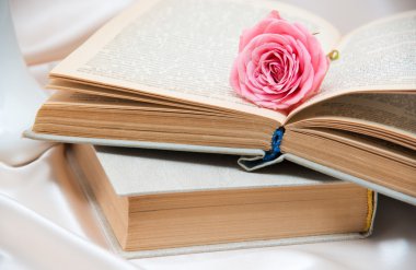 Güller ve eski kitaplar. Tonu ayarlanmış resim