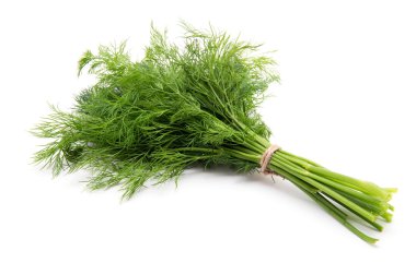 Taze dereotu beyaz arkaplanda kapat