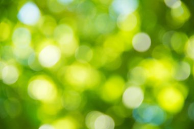 Doğal bulanık arkaplan dokusu.