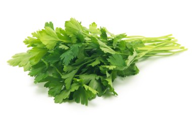 Beyaz arkaplanda taze maydanoz