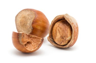 Beyaz arkaplanda fındık