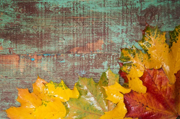 Ahşap arka planda sonbahar yaprakları