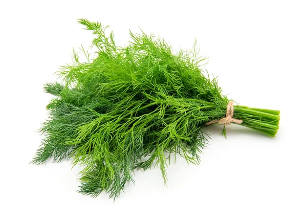 Fresh dill close up no fundo branco — Fotografia de Stock