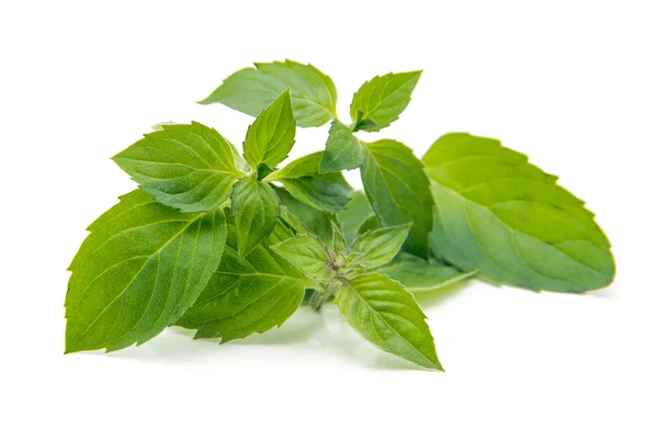 Mint leaves isolated on white — Stock Photo, Image