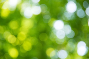 Doğal bulanık arkaplan dokusu