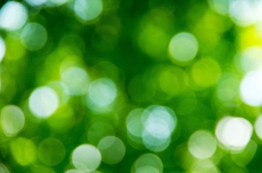 Doğal bulanık arkaplan dokusu