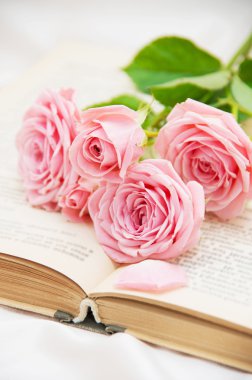 Güller ve eski kitaplar. Tonu ayarlanmış resim