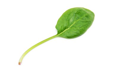 beyaz zemin üzerine yeşil ıspanak yaprağı