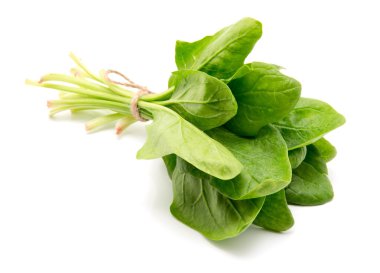 Beyaz arkaplanda ıspanak