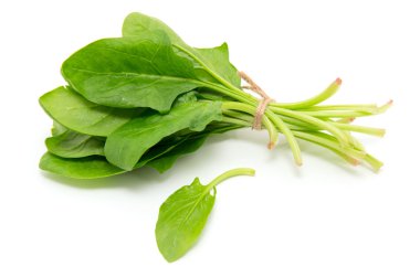 Beyaz arkaplanda ıspanak