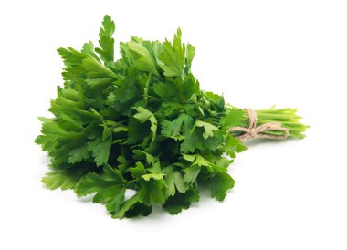 Beyaz arkaplanda taze maydanoz