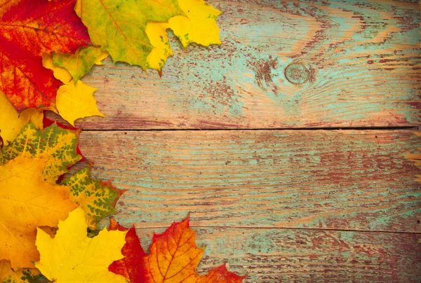 Autumn leaves over wooden background — Stock Photo, Image