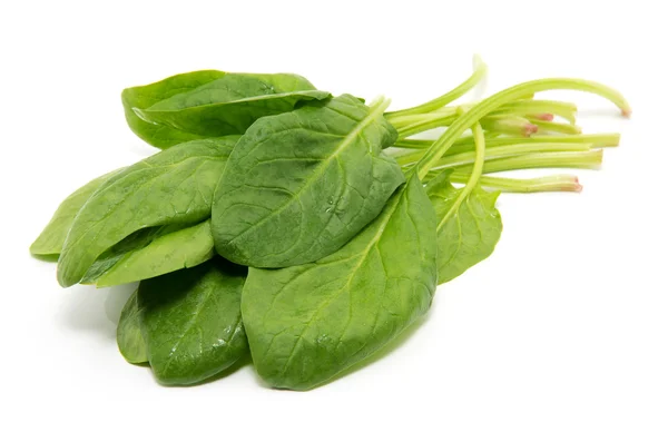 Spinach on a white background — Stock Photo, Image