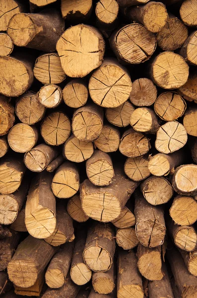 Detail of a Timber background — Stock Photo, Image