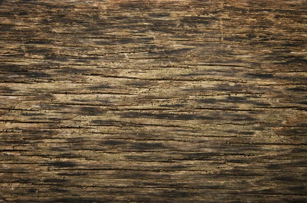 Brown grunge wood texture — Stock Photo, Image