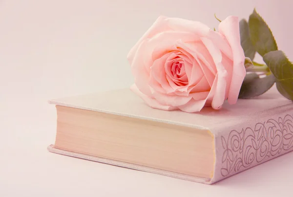 Rosas e livros antigos. Imagem tonificada — Fotografia de Stock