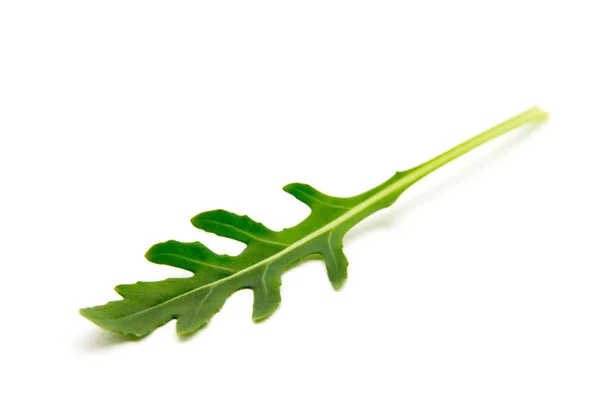 Groene arugula blad geïsoleerd op wit — Stockfoto