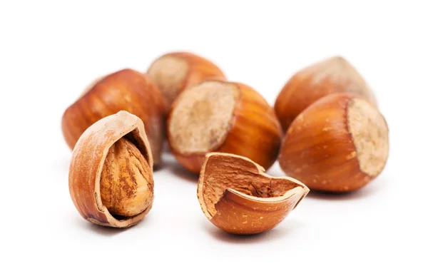 Hazelnuts on white background — Stock Photo, Image