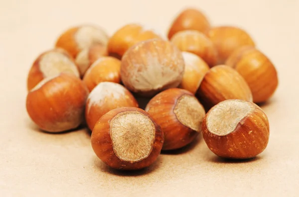 The heap of hazelnuts — Stock Photo, Image