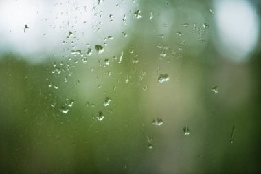Arkaplanda yeşil ağaç olan pencereye yağmur damlaları yağar