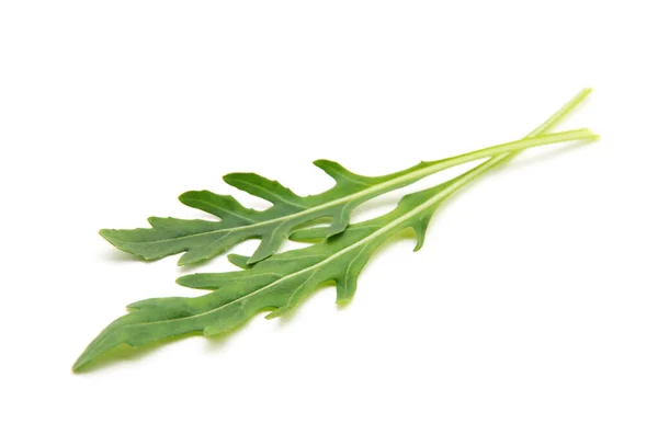 Groene Arugula Blad Geïsoleerd Wit — Stockfoto