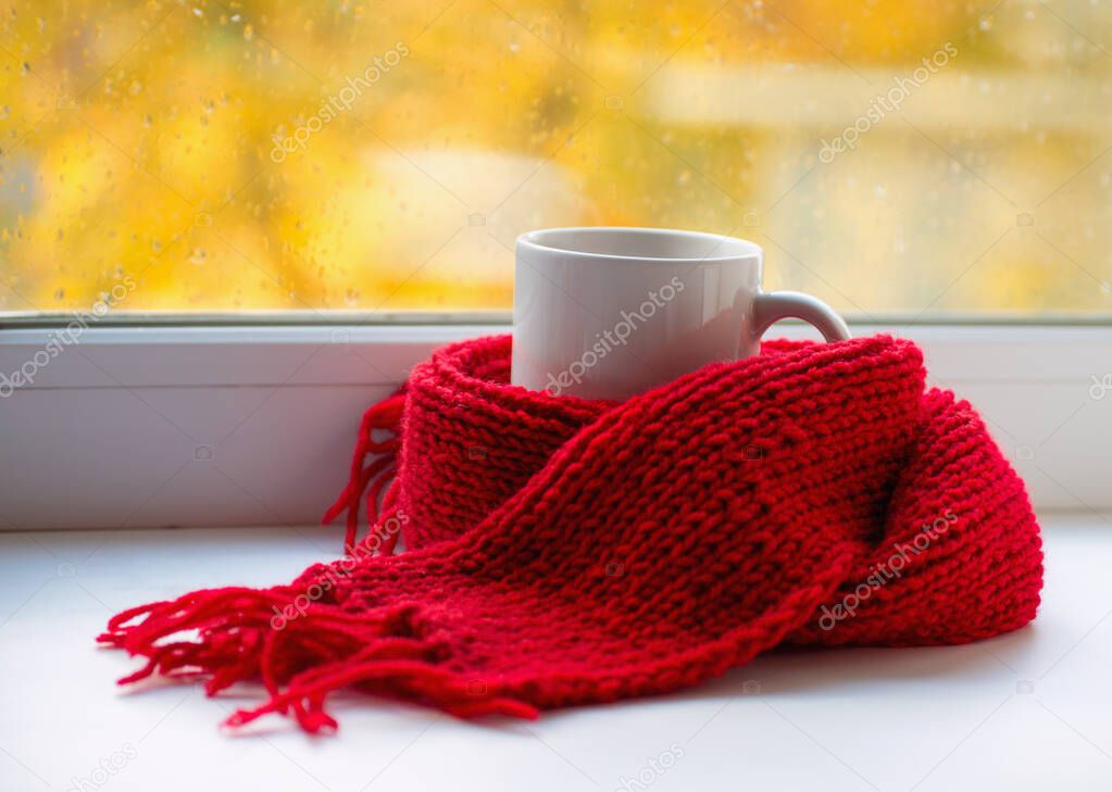 Autumn still life - Warm knitted scarf and cup of tea near a window.