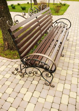 Parkta tek başına bankta