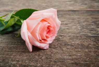 Ahşap bir masada duran pembe gül. Eski