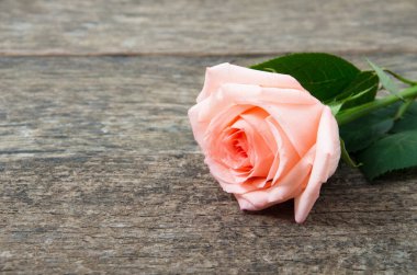 Ahşap bir masada duran pembe gül. Eski