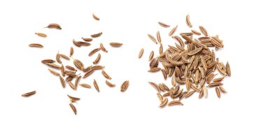 Caraway beyaz arkaplanda izole edildi.