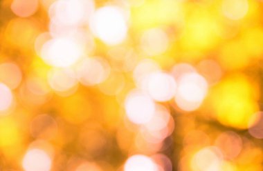 Sonbahar arkaplanı güneşli ışınlarla