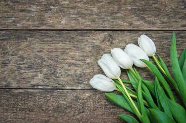 Eski bir tahtanın üzerinde bir grup bahar lalesi.