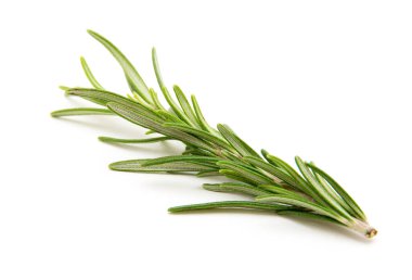 Beyaz arka planda bir dal biberiye