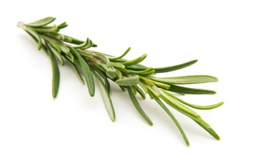 Beyaz arka planda bir dal biberiye