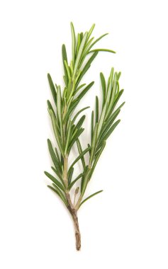 Beyaz arka planda bir dal biberiye