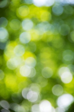 Doğal bulanık arkaplan dokusu