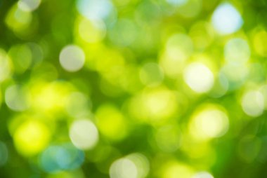 Doğal yeşil arkaplan bulanık