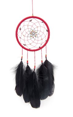 Amerikan Yerlisi Rüya Yakalayıcı Fotoğrafı