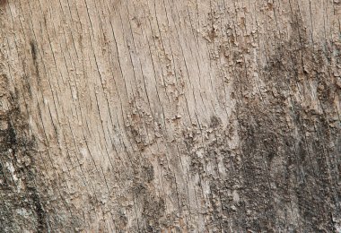 eski ahşap tahta, arka plan