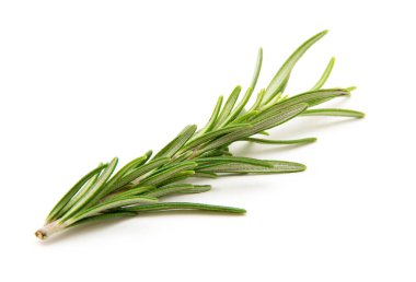 Beyaz arka planda bir dal biberiye