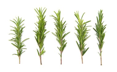 Beyaz arka planda bir dizi taze biberiye.