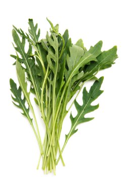 Taze roka yaprakları. Beyaz arkaplanda izole.