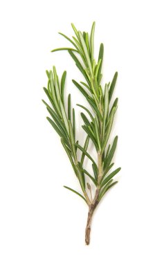 Beyaz arka planda bir dal biberiye