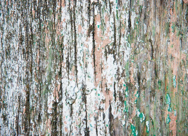 Серый Деревянный Фон Текстуры — стоковое фото
